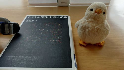 パパさんは難しいの読むぴよなあ