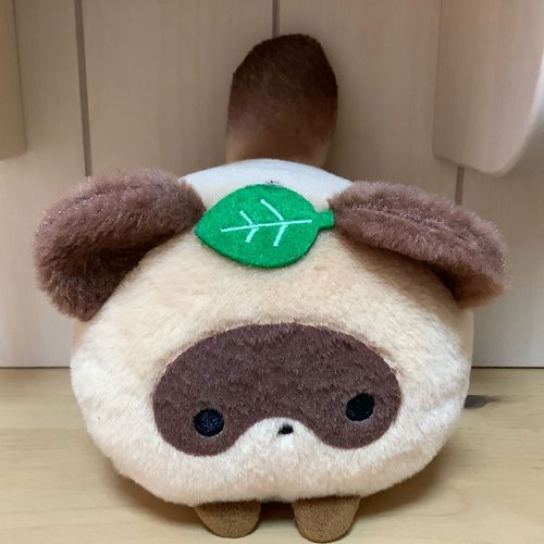 タヌーだよ〜!
自分のことをたぬぬって呼ぶことがあるんだ!
よろしくねっ！