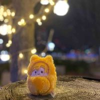 推しぬいたち