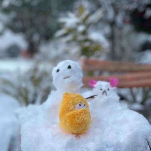 ⛄️