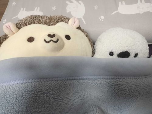 はりねずみ　と　一緒に　寝た😴