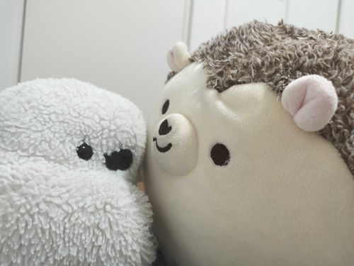 雨がこわい　から　はりねずみ　と　お家にいる🥺