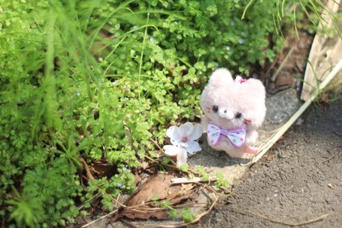 トコトコ🌸ﾆｬｯﾆｬｯ