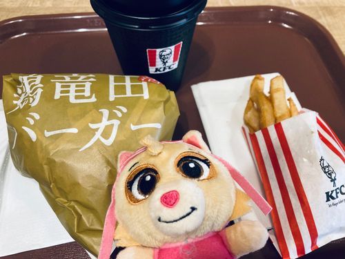 にゃんパトロール🐾
