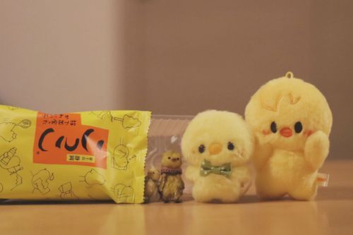 🐣ﾋﾟﾖｯ