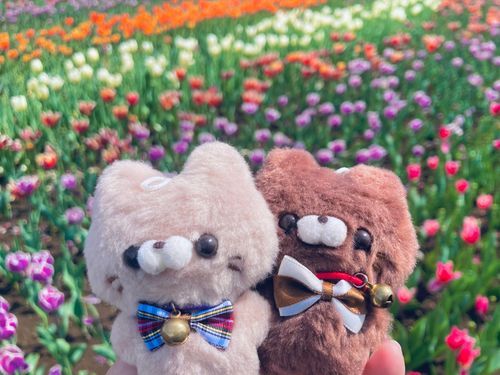 🌷