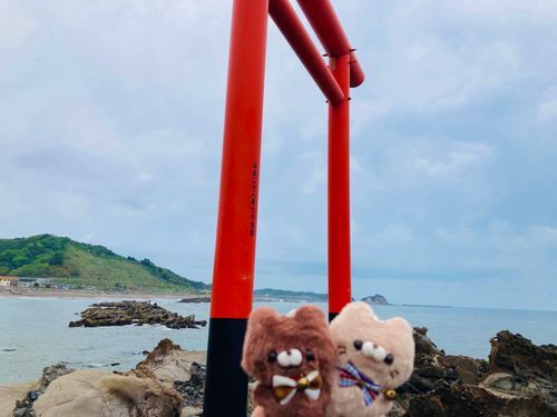 海🪼🌊ﾆｬｯﾆｬｯ