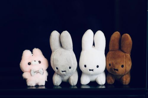 🐰ぴっ！