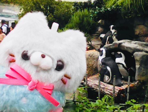 🐧ﾆｬｯﾆｬｯ🐾
