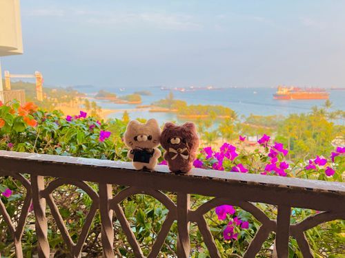 旅の思い出🇸🇬ﾆｬｯﾆｬｯ🐾