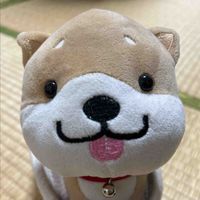 ふさた