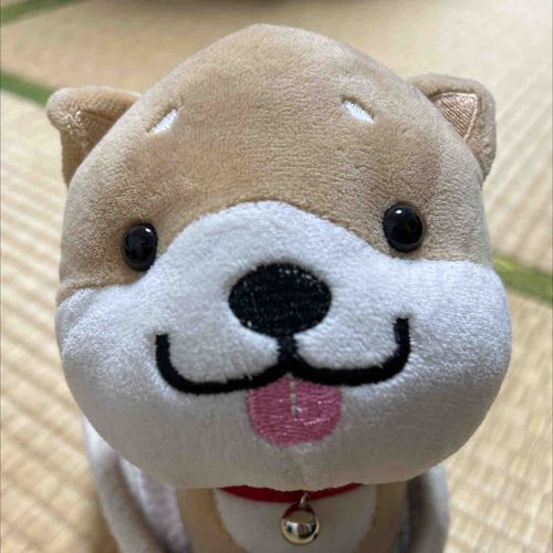 ふさたです
たまにヌシと旅に出ます