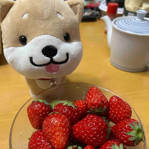 いちごの季節がきたー
あまーい！