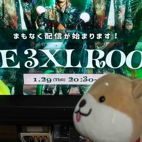 ヌシがわくわくしてます。
ぼくもライブ連れて行ってもらいましたーえへ。