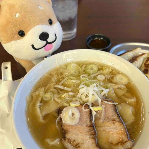 麺が！ひらたい！ひらべったーい塩ラーメン食べましたーお腹いっぱいー