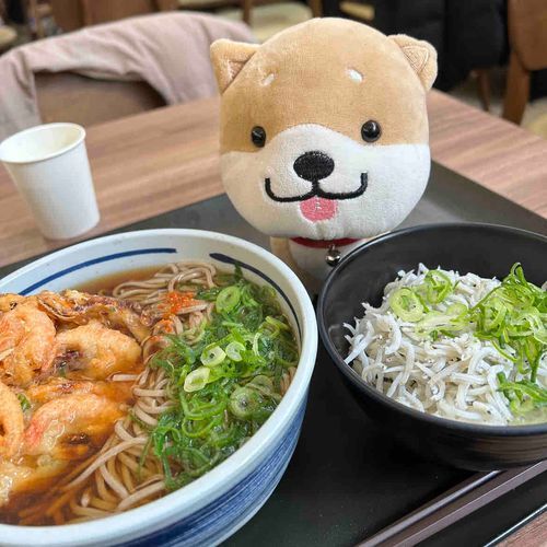 旅に出たよー
シラス丼食べたかったのー