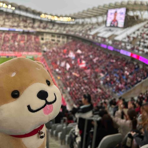 スタジアム行ったー久々のスタジアム！鹿対犬で鹿の勝ち！ぼく犬だけど、ヌシは鹿サポだから喜んでるー