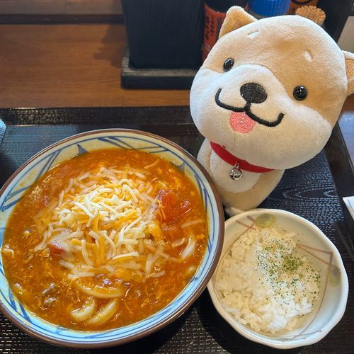 今年もトマたまチーズカレーうどんの季節がきたー
色々あってどーなるかなーと思ってたけど、ありがとう丸亀製麺！