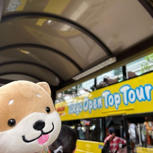 はじめてのはとバスー
景色高くてたーのしー