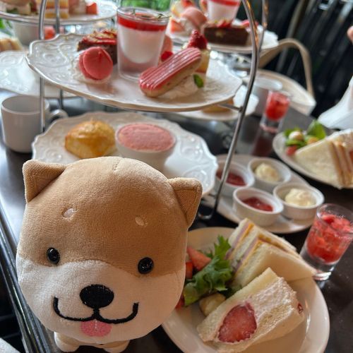ＧＷにヌン活してきたー
ベリー尽くし。うまうまー
有楽町でドリンク飲み放題ありがたし。