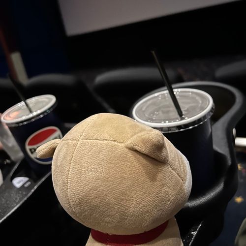 ちょい前に映画観てきたよーひつじが主役の映画おもしろかったー！