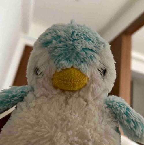 ぺんぎんのぺんたです🐧
いつもふわふわ
