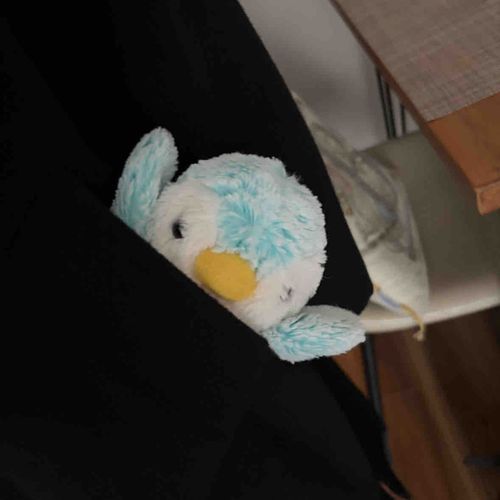 寒いのでかいぬしのポッケにin⛄️