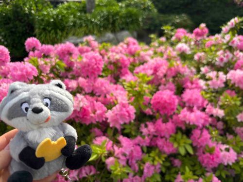 春🌷🎶