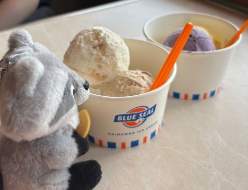 おいシーサー🍨