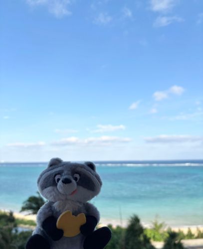 うみーーーーー！！！
🌺🌊🍍