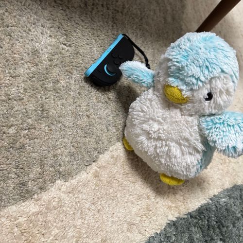 ゲームぽちぽち🎮