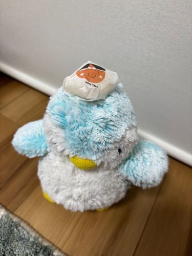 ももたろさんにお供します🍑