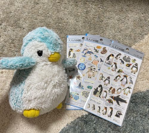 ふむふむ…ぼくはどれかな📚🐧💡