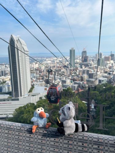 おともだちとロープウェイ🚡
あちちでした☀️