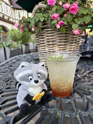 ひんやりしゅわしゅわの飲み物〜
🍯🍋🌱🧊