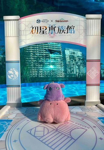 深海のアイドルだね🐙
