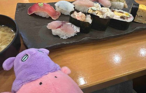 お寿司だね=͟͞🍣