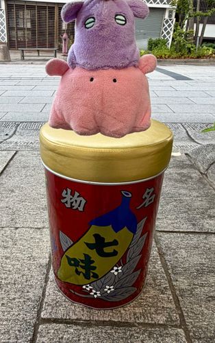 七味の椅子だね🪑