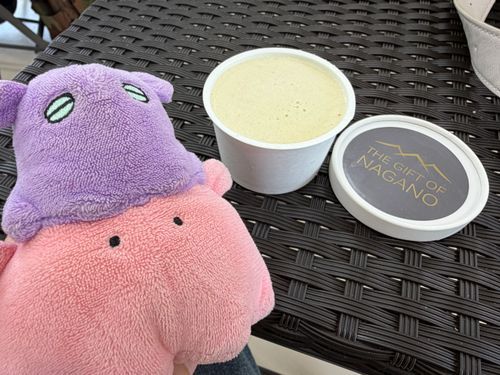 りんごのジェラートすごく美味しかったね！！🍎