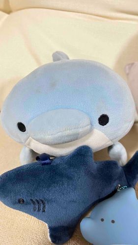 いるたが今日お泊まりにきたよ〜！
ペンペンといるたって言う
アカウントにいる子だよ
是非、フォローしてあげて！
　🐟🐟🐟🐟🐟🐟🐟🐟🐟🐟　　