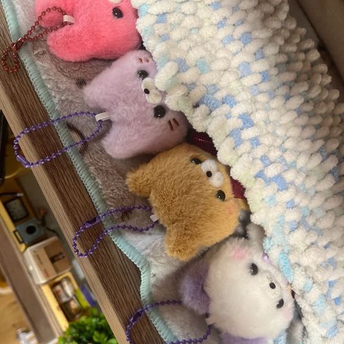 久しぶりの投稿！！
主が寝床作ってくれた！
あったかい〜