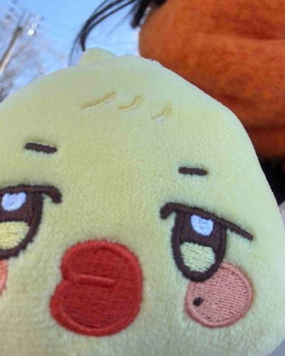 じどりをしただっちよｫ。
ん？ん？地鶏じゃないだっち‼️