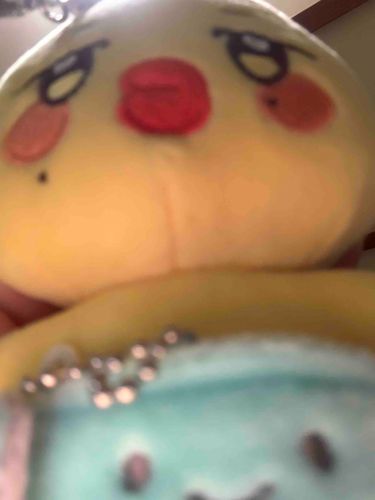 ｫぱんつをみろ！🫵だっち。