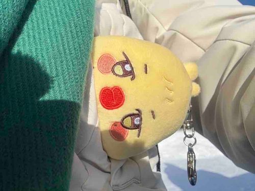 きょぅは  ぽけっとにぃ かいろをいれてもらっただっちよぉ。
さむぃさむぃだったけど  たまぁにお顔出しただっちょ。