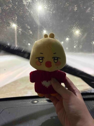 ちゃんと帰ってきただっちよぉ。