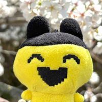 まめっち