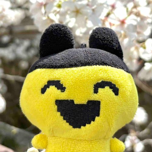 まめっちのまめっち