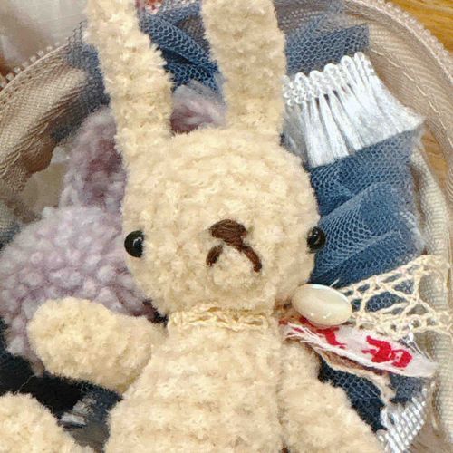 かいぬしのXのフォロウィーさんがルナヘヴンリィさんの編み図で作ってくれたうさぎです
ヘヴンリィ→ばけばけのヘヴンさん→ラフカディオ・ハーンさんのことを当時の人は「へるん」さんと呼んでいたことから命名されたよ