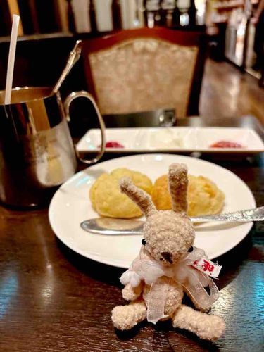 今日はやっとおしゃれなお店につれてきてもらったのよ！
ロイヤルアイスミルクティーとスコーンでございますのよ
おほほほほ