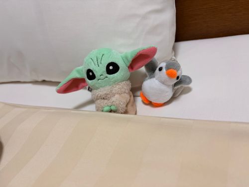 新しいお友達がやって来たよ！僕の方がお兄さんだから、なんでも聞いてねってお話ししたよ。仲良くなれるといいな。